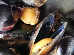 -宾朋海鲜饭庄(兴海路店)