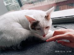 -青沐画室·专业美术培训
