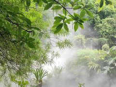 -广东罗浮山风景名胜区