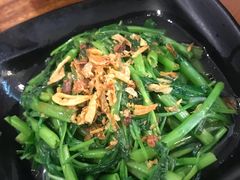 -明潭茶老爸