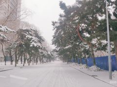 -东北大学(南湖校区)