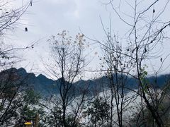 -遂昌金矿国家矿山公园