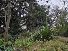 -墨尔本皇家植物园