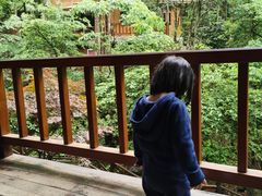 -天明山温泉大酒店