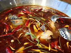 美蛙鱼头锅-红牌美蛙鱼头火锅(万辉国际广场店)