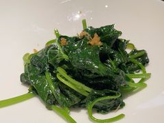 -觀芷隐轩