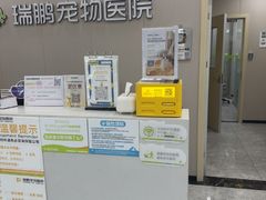 -瑞鹏宠物医院·骨外科·心肾科·肿瘤科(九亭店)