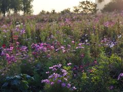 -华夏文旅西安度假区