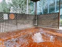 -春晖园度假酒店温泉