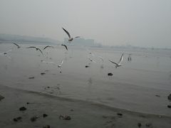 -老味道民宿(栈桥店)