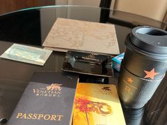 -澳门威尼斯人综合度假区