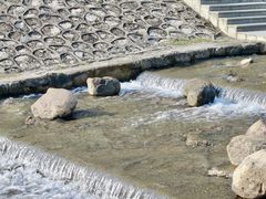 -光明小镇欢乐田园