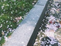 -千岛湖燃擎卡丁车赛车主题乐园(秀湖路店)