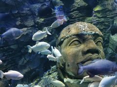 -成都浩海立方海洋公园