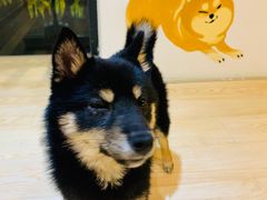 -知味观(湖滨总店)