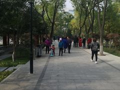 -莲湖公园