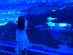 -成都浩海立方海洋公园