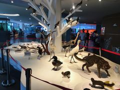 -漩门湾国家湿地公园