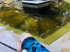 -碧水湾温泉