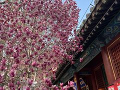 -潭柘寺景区