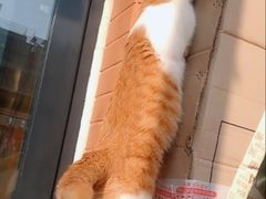 -仁华宠物医院(青羊店)