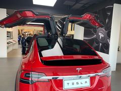 -TESLA 特斯拉(郑州正弘城体验店)