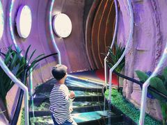 -诸城市恐龙博物馆