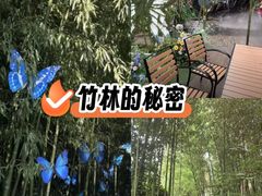 -竹泉村旅游度假区