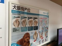 -宠福鑫动物医院(城北分院)