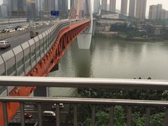 -白乐天毛肚火锅馆(南滨路店)