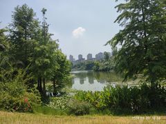 -东岳体育公园