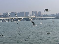 -蠡湖大桥公园