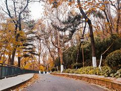 -北岭山森林公园