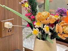 -Again Coffee Roaster(香蜜湖店)