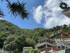 -南海湾森林生态园