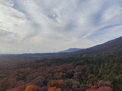 -灵谷景区