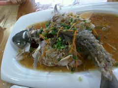 -悠悠美食