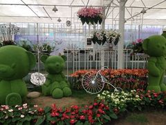 iphone_upload_pic-上海鲜花港