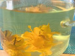 -和雅集素斋(景区店)