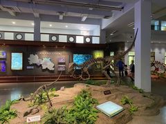 -自贡恐龙博物馆