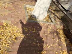 -辽宁大学(崇山校区)