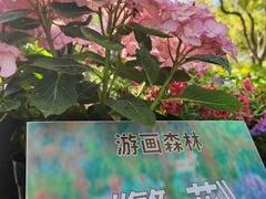 -上海共青森林公园
