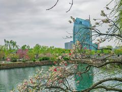 -无锡蠡湖国家湿地公园-蠡园