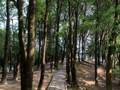-火炉山森林公园