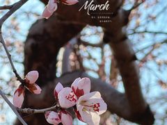 -瀛海足球主题公园