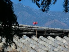-总统兵马大元帅府