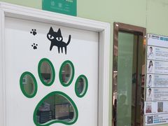 -瑞鹏宠物医院·夜间急症·心超·猫科(祖庙分店)