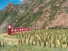 景点-祁连山草原