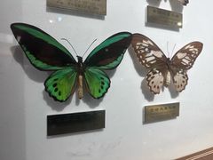 -上海昆虫博物馆