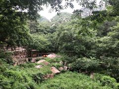 -大岭沟猕猴桃谷风景区